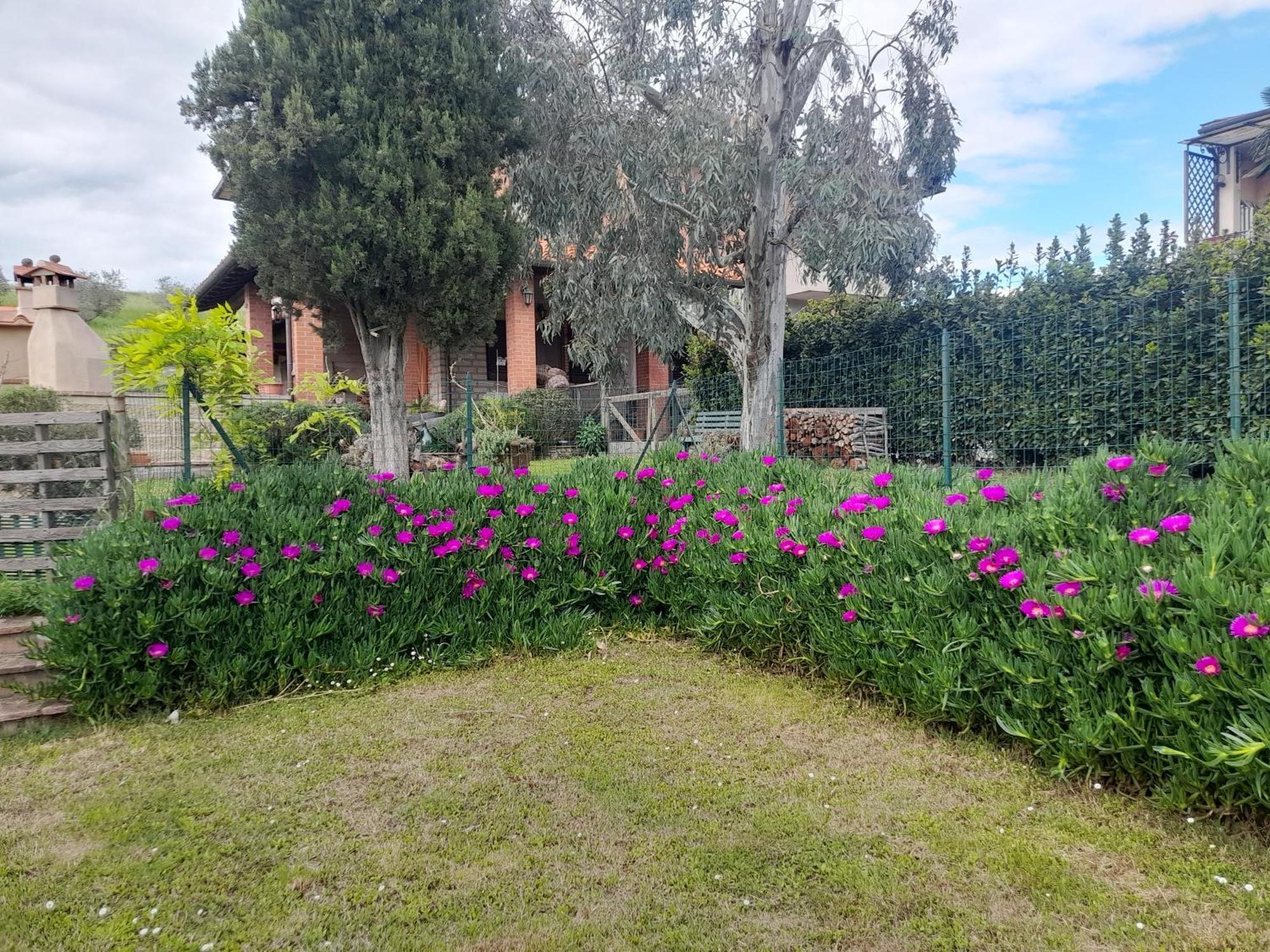 Agriturismo Santa Adriana Volterra Ngoại thất bức ảnh